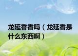 龙延香香吗（龙延香是什么东西啊）