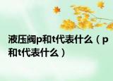 液压阀p和t代表什么（p和t代表什么）
