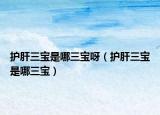 护肝三宝是哪三宝呀（护肝三宝是哪三宝）