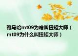雅马哈mt09为啥叫扭矩大师（mt09为什么叫扭矩大师）