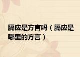 膈应是方言吗（膈应是哪里的方言）