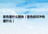 紫色是什么颜色（紫色的对冲色是什么）