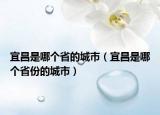 宜昌是哪个省的城市（宜昌是哪个省份的城市）