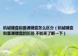 机械键盘和普通键盘怎么区分（机械键盘和普通键盘的区别 不妨来了解一下）