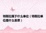 特斯拉属于什么单位（特斯拉单位是什么意思）