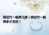 转运竹一般养几根（转运竹一般养多少支好）
