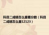 科目二成绩怎么查看分数（科目二成绩怎么查12123）