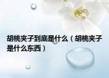 胡桃夹子到底是什么（胡桃夹子是什么东西）