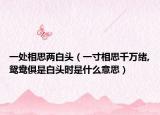 一处相思两白头（一寸相思千万绪,鸳鸯俱是白头时是什么意思）