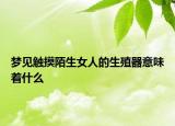 梦见触摸陌生女人的生殖器意味着什么