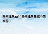 秘密战队zai（秘密战队是哪个国家的）