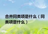 合并同类项是什么（同类项是什么）