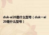 duk-al20是什么型号（duk一al20是什么型号）