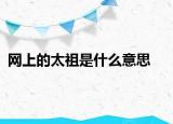 网上的太祖是什么意思