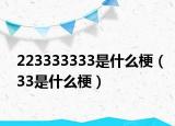 223333333是什么梗（33是什么梗）