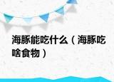 海豚能吃什么（海豚吃啥食物）