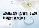 x5dbs是什么文件（x5tbs是什么文件）