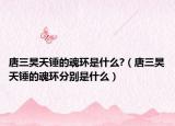 唐三昊天锤的魂环是什么?（唐三昊天锤的魂环分别是什么）