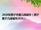 2020年西宁市是几线城市（西宁属于几线城市2020）