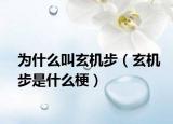 为什么叫玄机步（玄机步是什么梗）