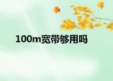 100m宽带够用吗