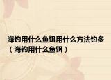 海钓用什么鱼饵用什么方法钓多（海钓用什么鱼饵）
