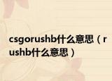 csgorushb什么意思（rushb什么意思）