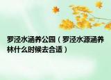 罗泾水涵养公园（罗泾水源涵养林什么时候去合适）