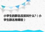 小学生的群名应该叫什么?（小学生群名有哪些）