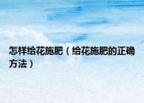 怎样给花施肥（给花施肥的正确方法）