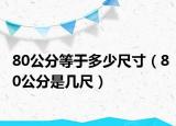 80公分等于多少尺寸（80公分是几尺）