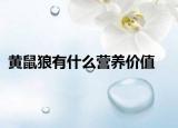 黄鼠狼有什么营养价值