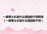 一级军士长是什么级别的干部职务（一级军士长是什么级别的干部）