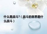 什么是战斗?（战斗的意思是什么战斗）