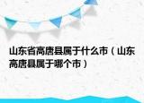 山东省高唐县属于什么市（山东高唐县属于哪个市）