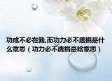 功成不必在我,而功力必不唐捐是什么意思（功力必不唐捐是啥意思）