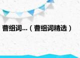 曹组词...（曹组词精选）