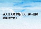 伊人什么意思是什么（伊人的意思是指什么）