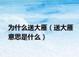 为什么送大雁（送大雁意思是什么）