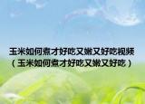 玉米如何煮才好吃又嫩又好吃视频（玉米如何煮才好吃又嫩又好吃）