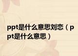 ppt是什么意思刘恋（ppt是什么意思）