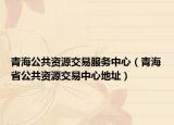 青海公共资源交易服务中心（青海省公共资源交易中心地址）