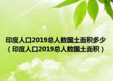 印度人口2019总人数国土面积多少（印度人口2019总人数国土面积）