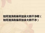 如何清洗和保养加拿大鹅干净呢（如何清洗和保养加拿大鹅干净）
