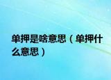 单押是啥意思（单押什么意思）