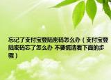 忘记了支付宝登陆密码怎么办（支付宝登陆密码忘了怎么办 不要慌请看下面的步骤）
