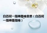 白百何一指禅是啥意思（白百何一指禅是指啥）