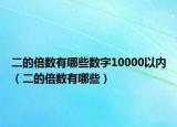 二的倍数有哪些数字10000以内（二的倍数有哪些）