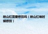 映山红需要修剪吗（映山红啥时候修剪）