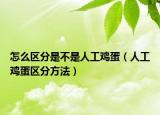 怎么区分是不是人工鸡蛋（人工鸡蛋区分方法）